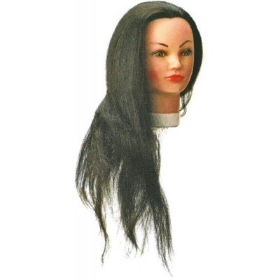 Голова учебная 50-60 см без штатива Sibel 0030551, код: 4703