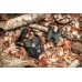 Бінокль Vortex Bantam HD 6.5x32 WP (BTM-6532), код: 9387