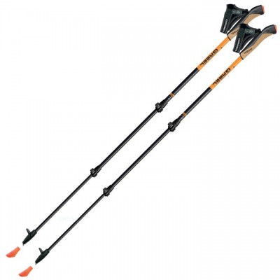 Палки для скандинавской ходьбы Gabel Carbon XT 3S-100 (7009351420000), код: 7888