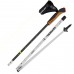 Палиці для скандинавської ходьби Gabel Nordic Revo Alu Carbon (7009351340000), код: 11770
