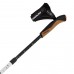 Палиці для скандинавської ходьби Gabel Nordic Revo Alu Carbon (7009351340000), код: 11770