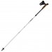Палиці для скандинавської ходьби Gabel Nordic Revo Alu Carbon (7009351340000), код: 11770
