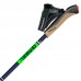 Палиці для скандинавської ходьби Gabel Stretch Carbon Lime (7008352640000), код: 11796