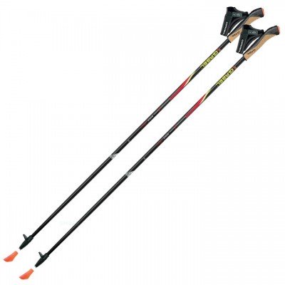 Палки для скандинавской ходьбы Gabel FX-75 Snake Carbon 110 Dual Spike (7008351011100), код: 7890