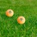 М'ячі для настільного тенісу Gewo AWR Outdoor 40+ orange 6шт (96614200), код: 10135