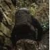 Рюкзак тактичний Highlander Harrier 35L Ranger Green (TT211-RG), код: 9956