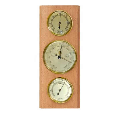 Метеостанція Moller 203803 Beech (203803), код: 11683