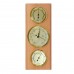 Метеостанція Moller 203803 Beech (203803), код: 11683