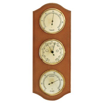 Метеостанція Moller 203379 Alder (203379), код: 8021