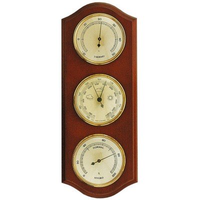 Метеостанція Moller 203382 Walnut (203382), код: 8022