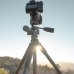 Штатив Vanguard Alta Pro 2+ 263AP (Alta Pro 2+ 263AP), код: 11678