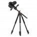 Штатив Vanguard Alta Pro 263AP (Alta Pro 263AP), код: 9671