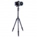Штатив Vanguard Vesta TB 204CB (Vesta TB 204CB), код: 9674