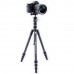 Штатив Vanguard Vesta TB 204CB (Vesta TB 204CB), код: 9674
