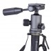 Монопод Vanguard VEO 2S CM-264TBP (VEO 2S CM-264TBP), код: 9680