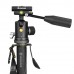 Монопод Vanguard VEO 2S CM-264TBP (VEO 2S CM-264TBP), код: 9680