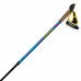 Палиці для скандинавської ходьби Vipole Vario Novice Blue/Violet (S20 34), код: 12279