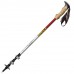 Палиці трекінгові Vipole Trekker Cork (S25 09), код: 11812
