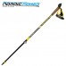 Палиці для скандинавської ходьби Vipole Hercules Vario Carbon +200 GR (SW20 04), код: 12221