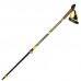 Палиці для скандинавської ходьби Vipole Hercules Vario Carbon +200 GR (SW20 04), код: 12221