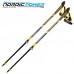 Палиці для скандинавської ходьби Vipole Hercules Vario Carbon +200 GR (SW20 04), код: 12221