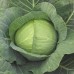 Капуста Кубок f1 tz, 2.500 шт, код: 3252 Капуста Кубок f1 tz, 2.500 шт, код: 3252
