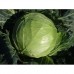 Капуста Кубок f1 tz, 2.500 шт, код: 3252