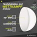 М'ячі для настільного тенісу Joola Magic ABS 40+ White 72 шт (44216), код: 9807