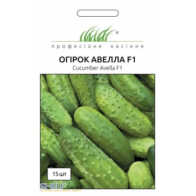 Огурец Авелла (аваланж) F1 NWB, 1.000 шт, код: 1887