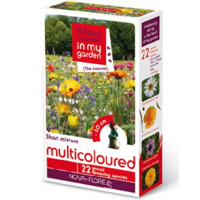Мультиколор 60 г, Цветочная смесь, код: 3284