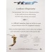 Настільний футбол Garlando Master Champion ITSF (MASTER), код: 9383