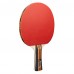 Набір для настільного тенісу Joola Family Advanced 4 Bats 6 Balls (54823), код: 9553