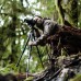 Штатив Vanguard Alta Pro 2+ 263CGHT (Alta Pro 2+ 263CGHT), код: 7900