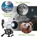 Телескоп Bresser Classic 70/350 Refractor з адаптером для смартфона (4670350), код: 9774